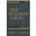 New Testament Survey